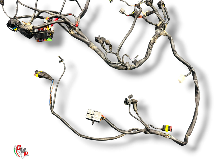 Wiring Harness - Ducati