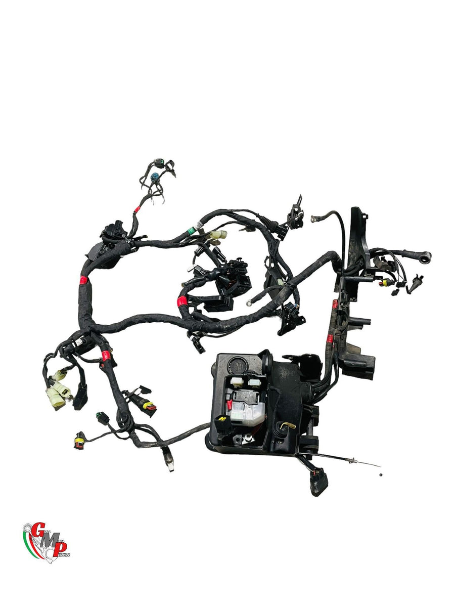 Main Wiring Harness - Ducati