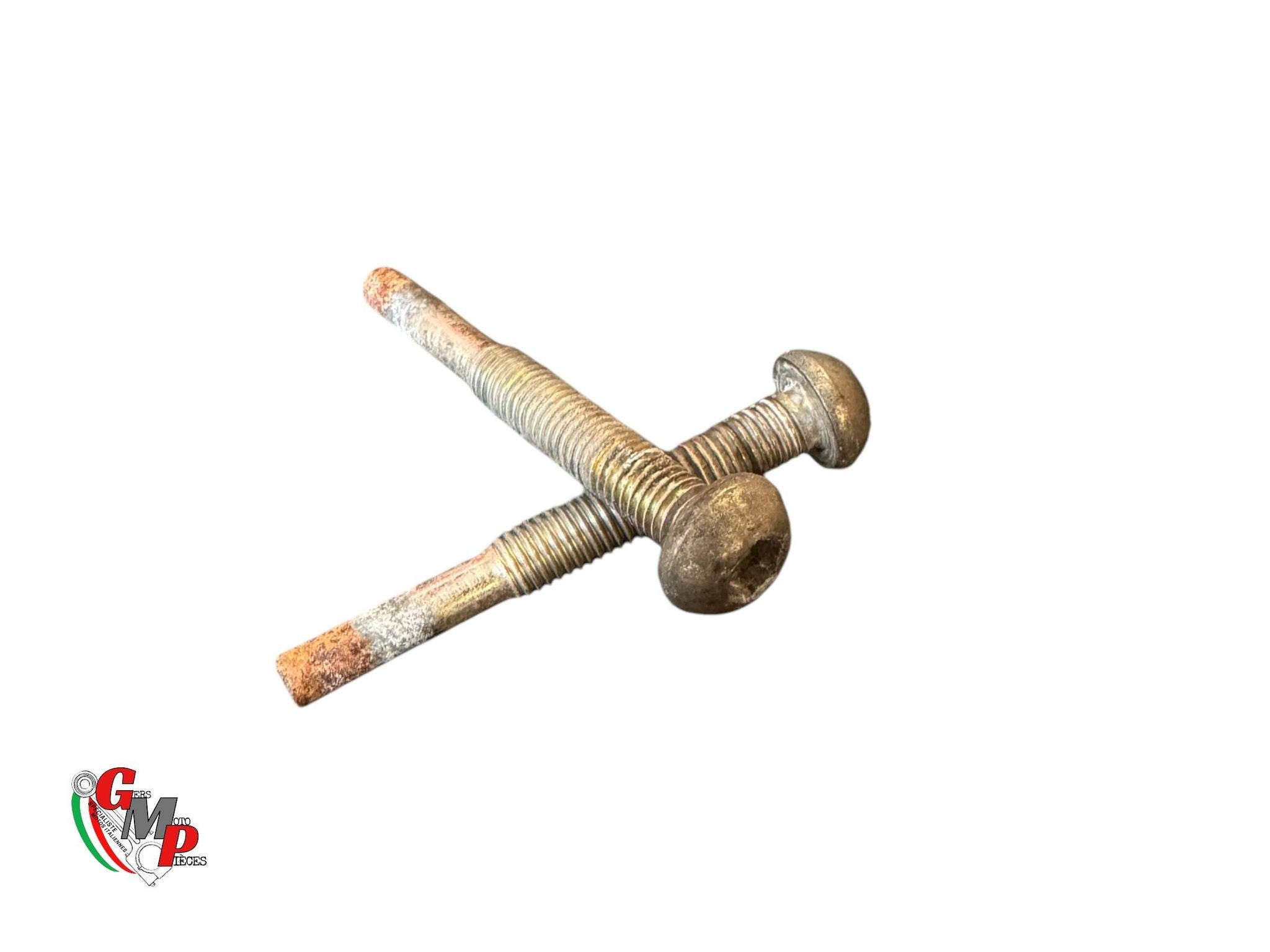 Speedometer Support Screw - Ducati