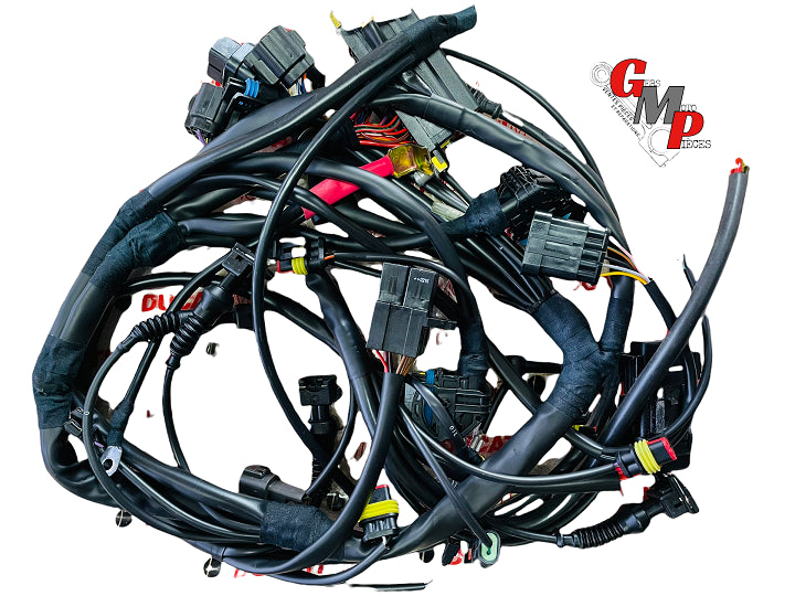 NEW Electrical Harness - Ducati