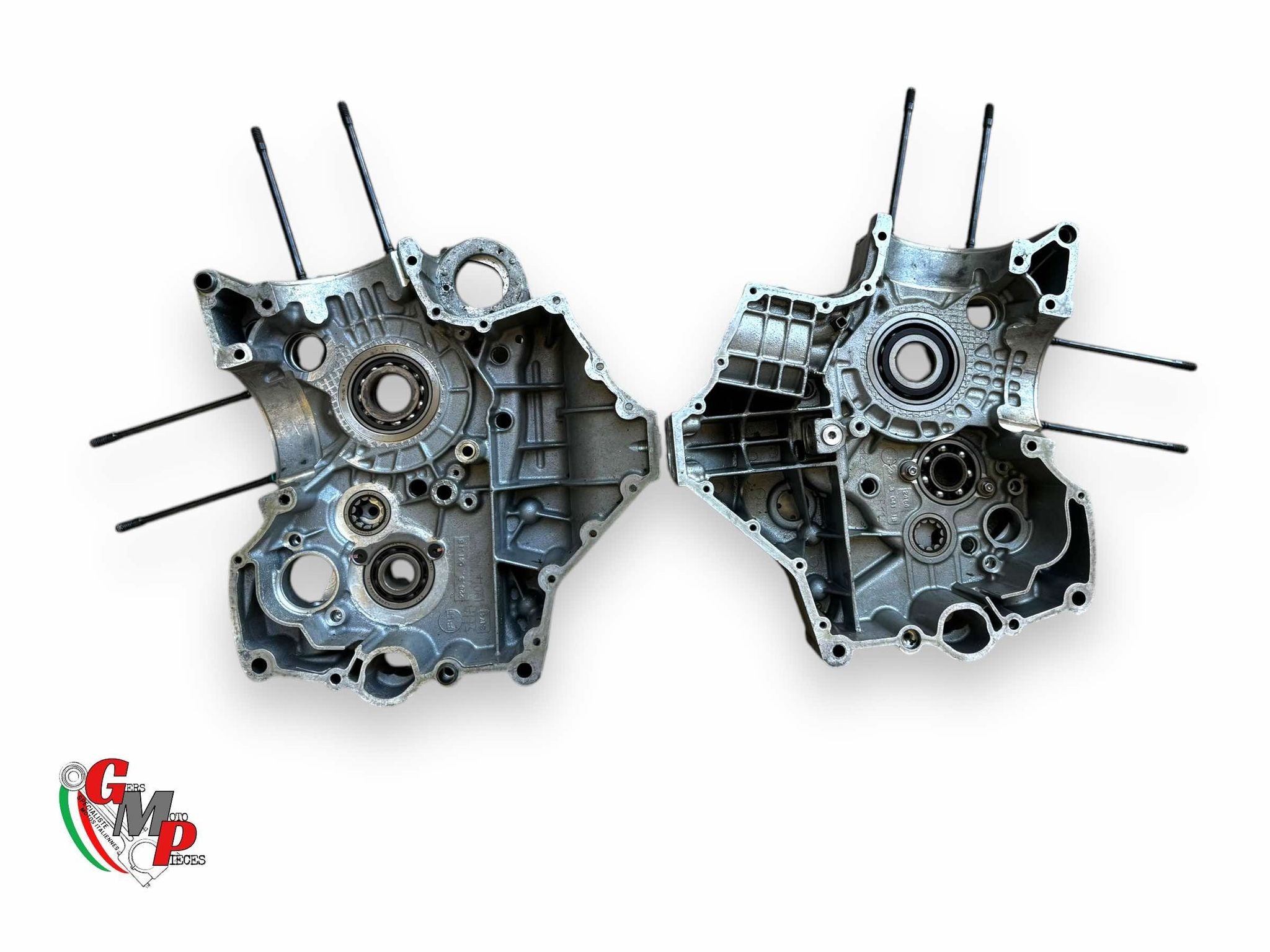 Pair of Factory Engine Cases - 999RS WSBK 2003