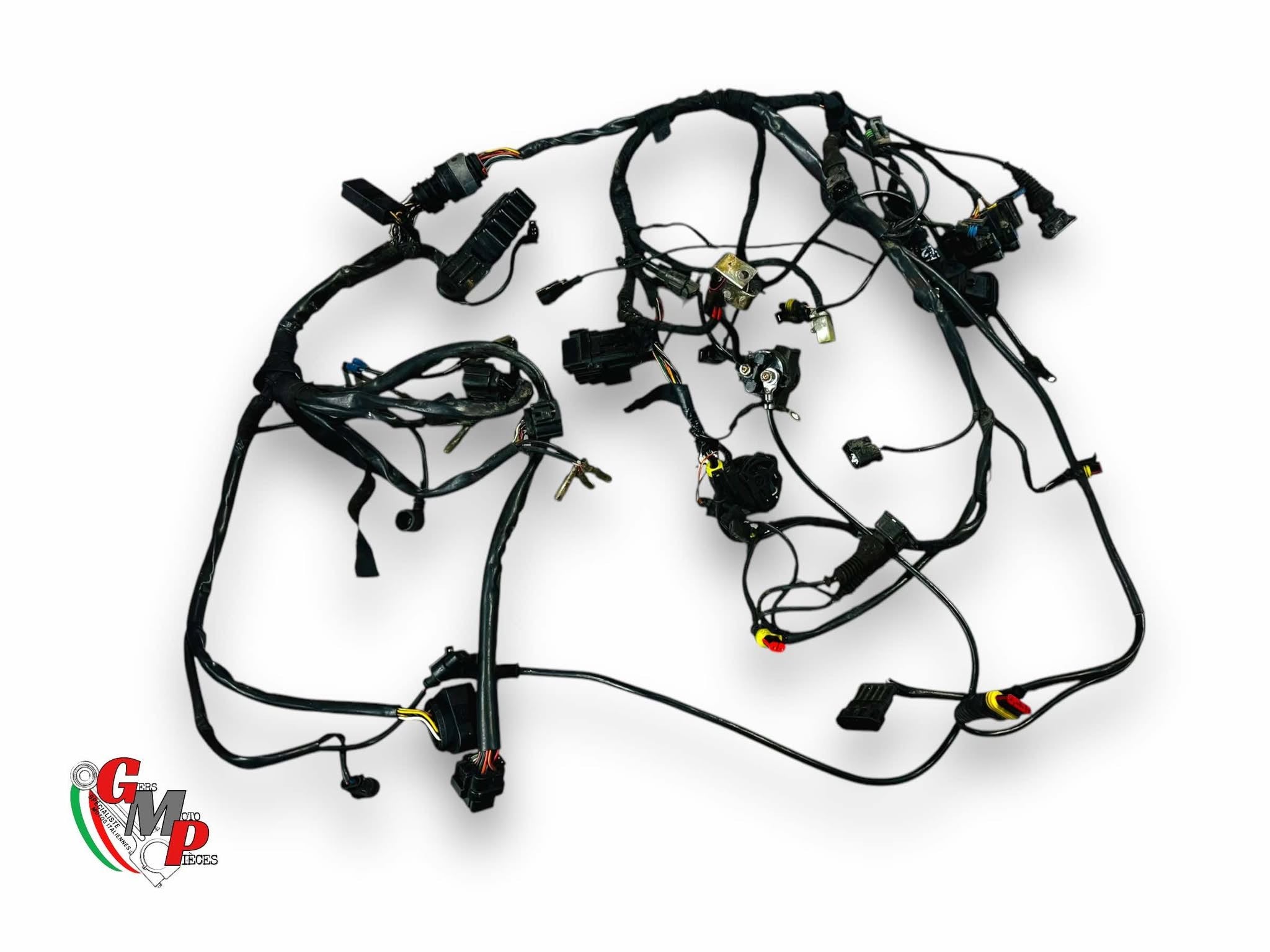 Main Wiring Harness - Ducati