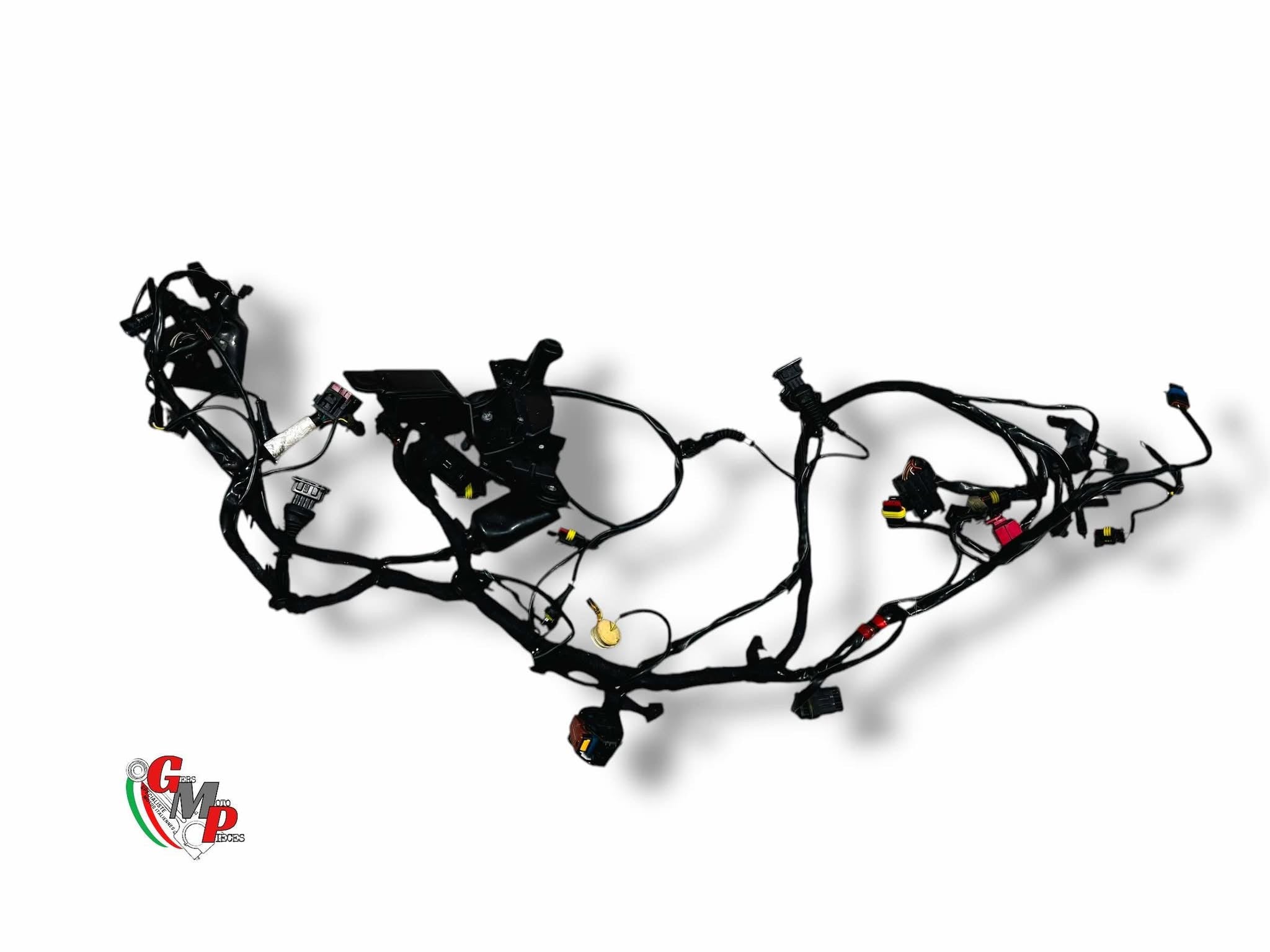 Electrical Harness - Ducati