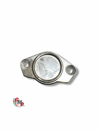 Central Alternator Cover - Ducati