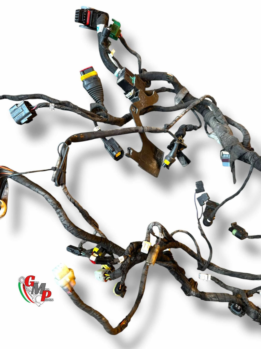 Electrical harness - Ducati