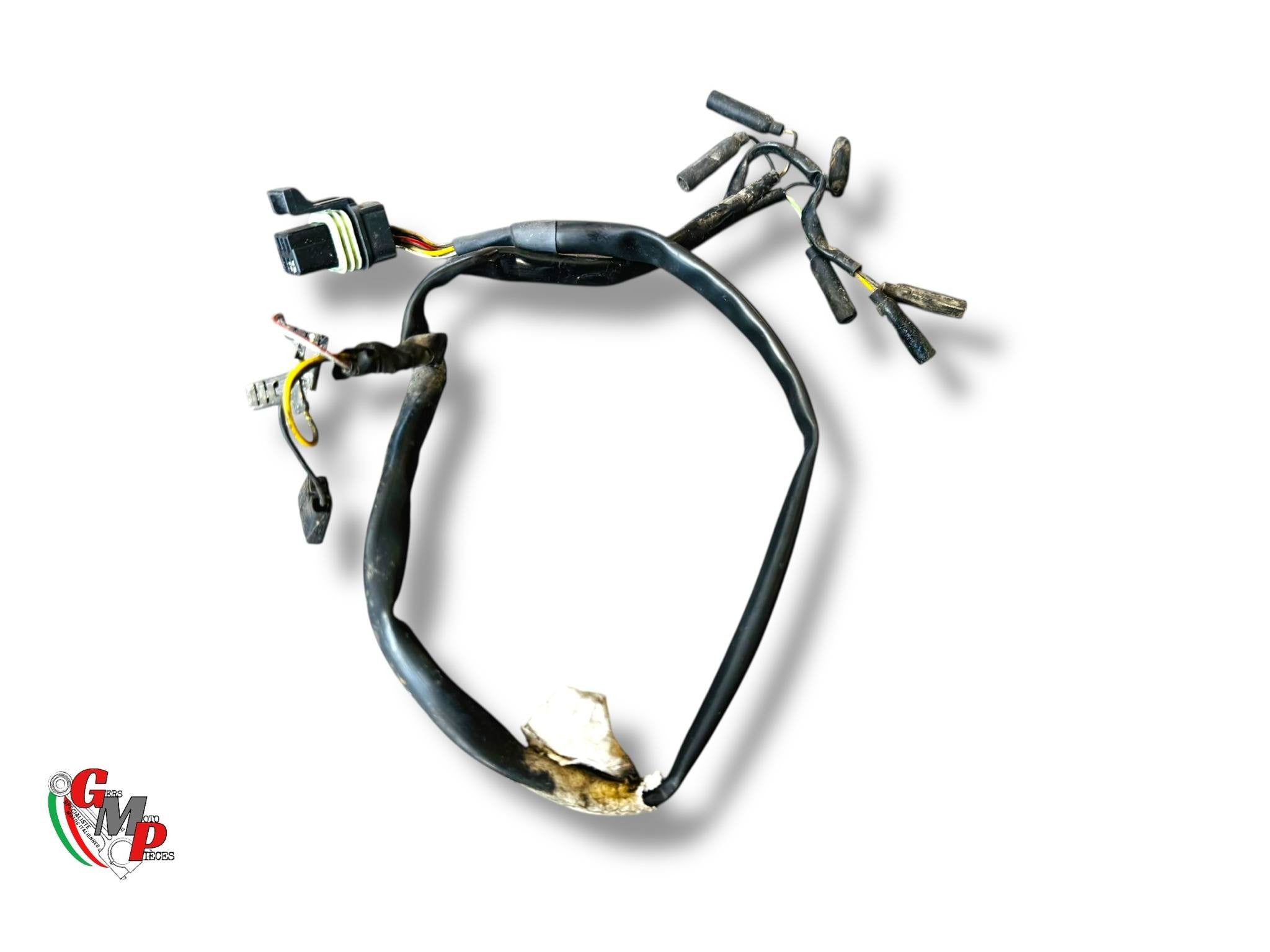 Rear Wiring Harness - Ducati
