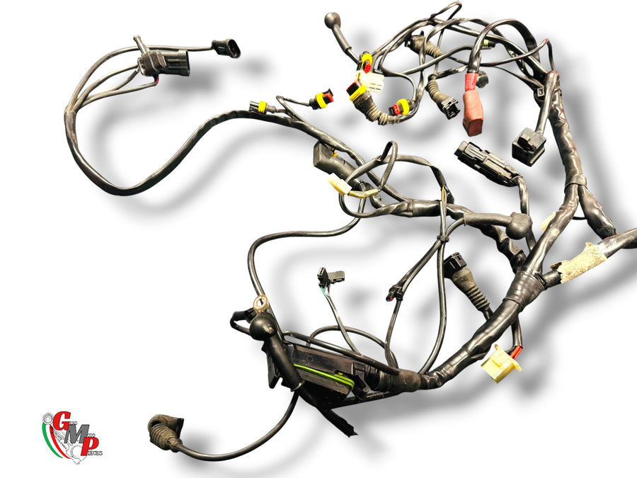 Main Electrical Harness - Ducati