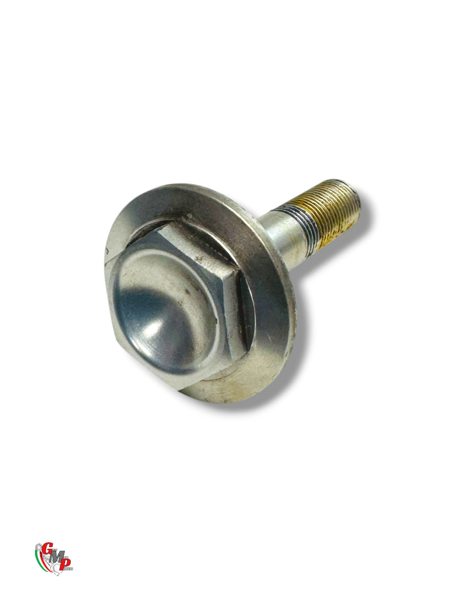 Mounting Screw Plate - Ducati