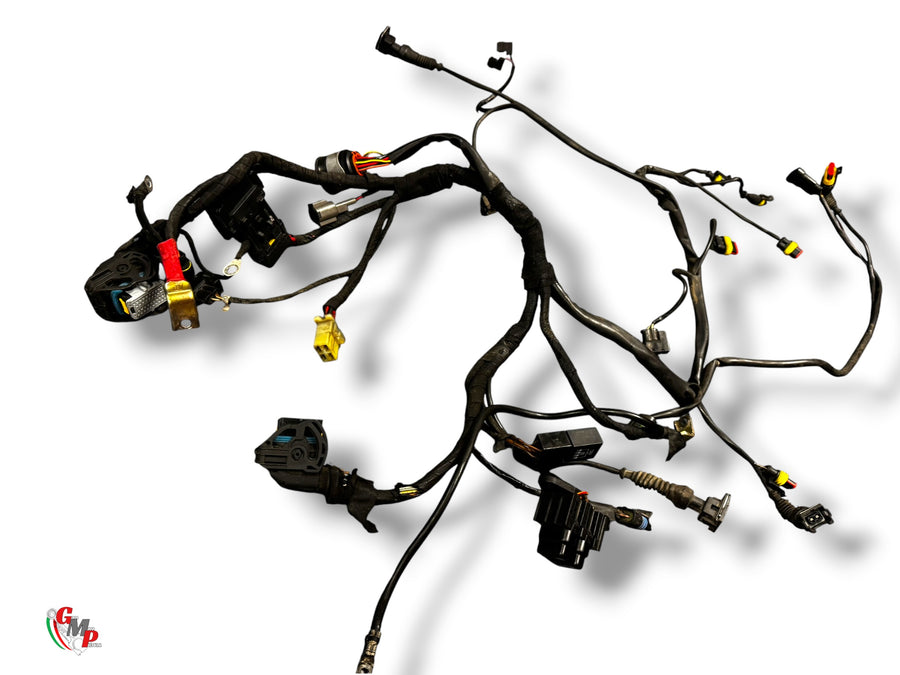 Main Harness - Ducati