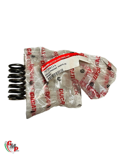 NEW Racing Clutch Spring - Ducati