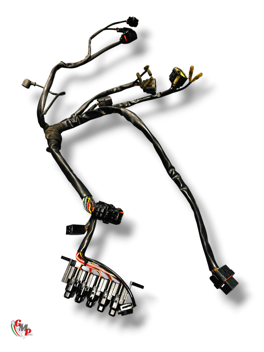 Front Wiring Harness - Ducati