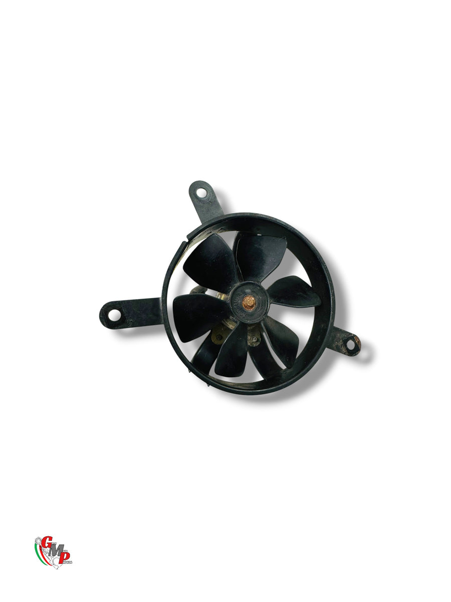 Fan - Ducati