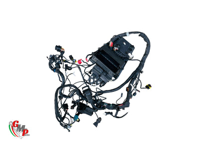 Complete Main Wiring Harness - Ducati