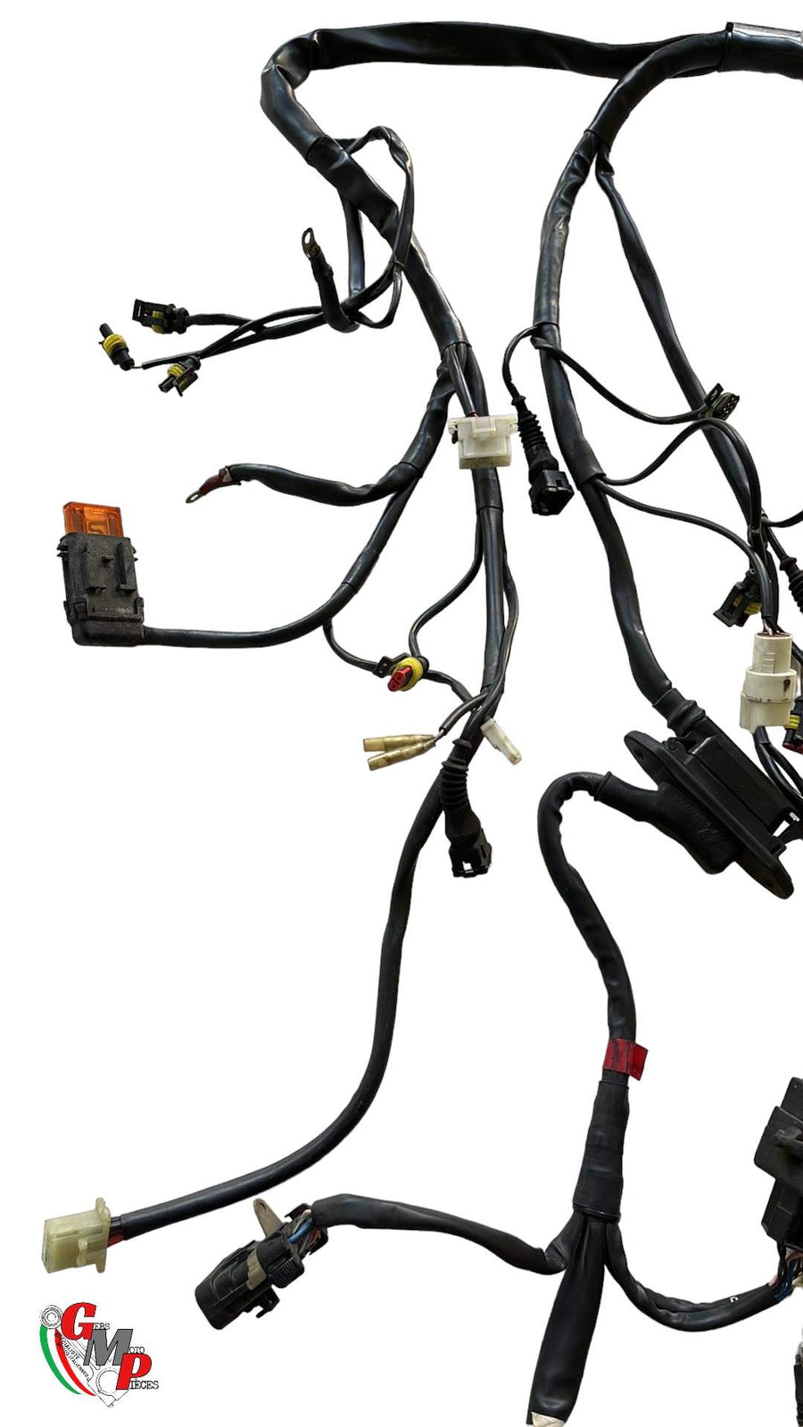 Main Wiring Harness - Ducati