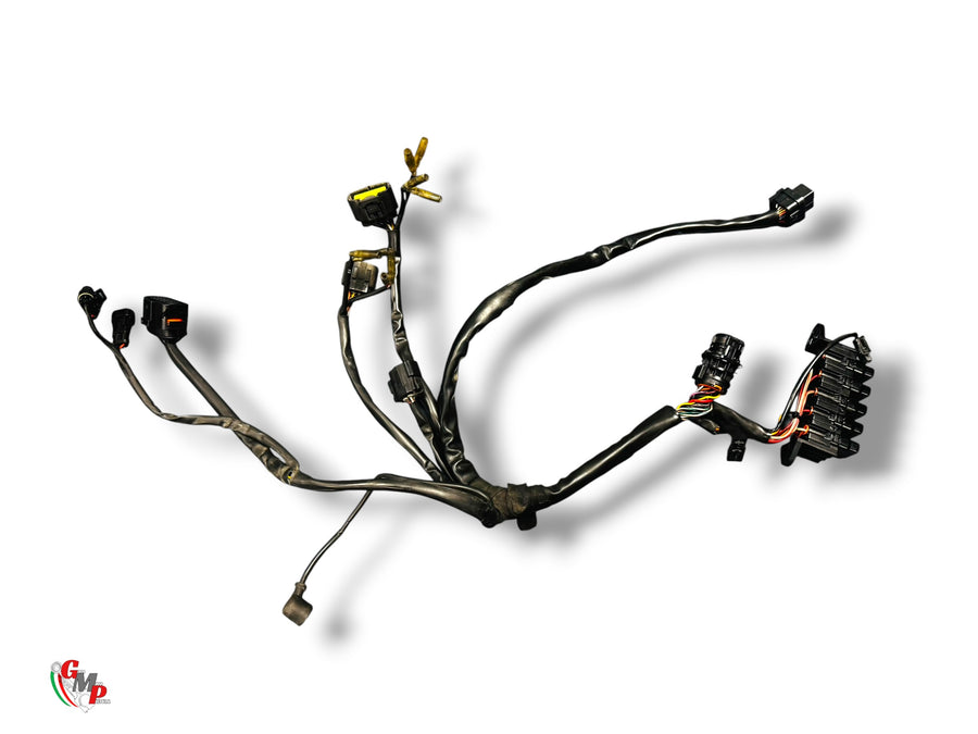 Front Wiring Harness - Ducati