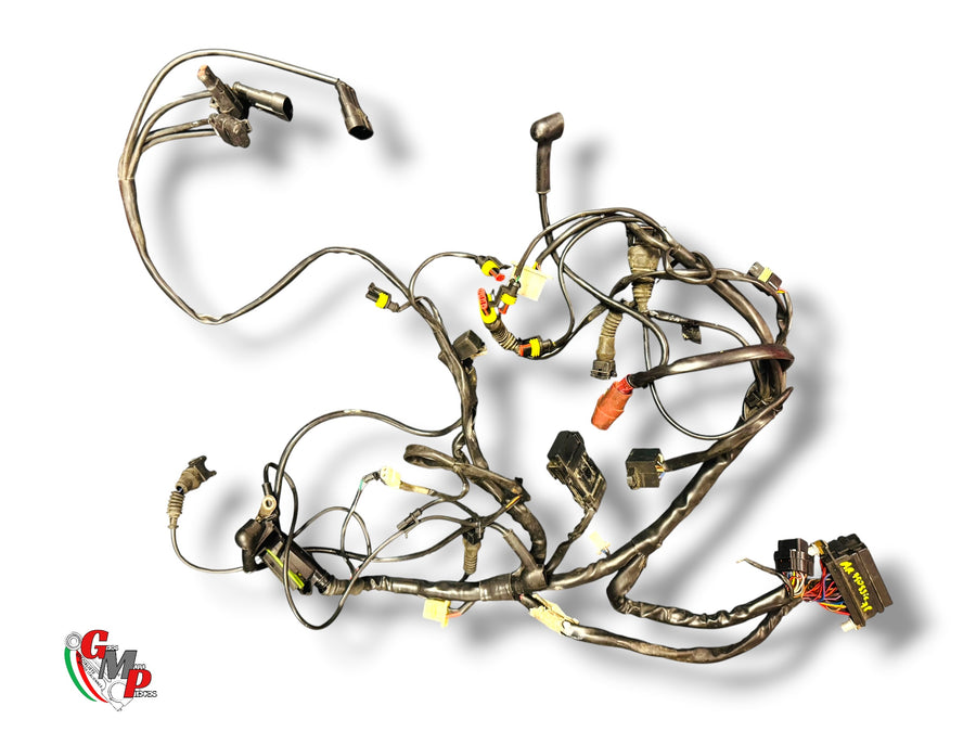 Main Electrical Harness - Ducati
