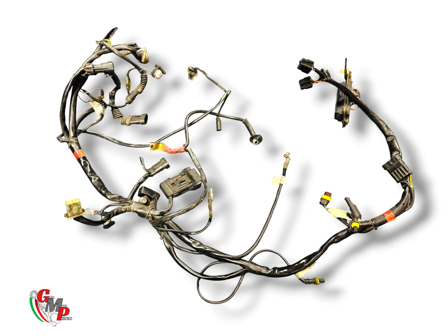 Wiring Harness - Ducati