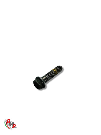 Screw Tef M6X25 - Ducati