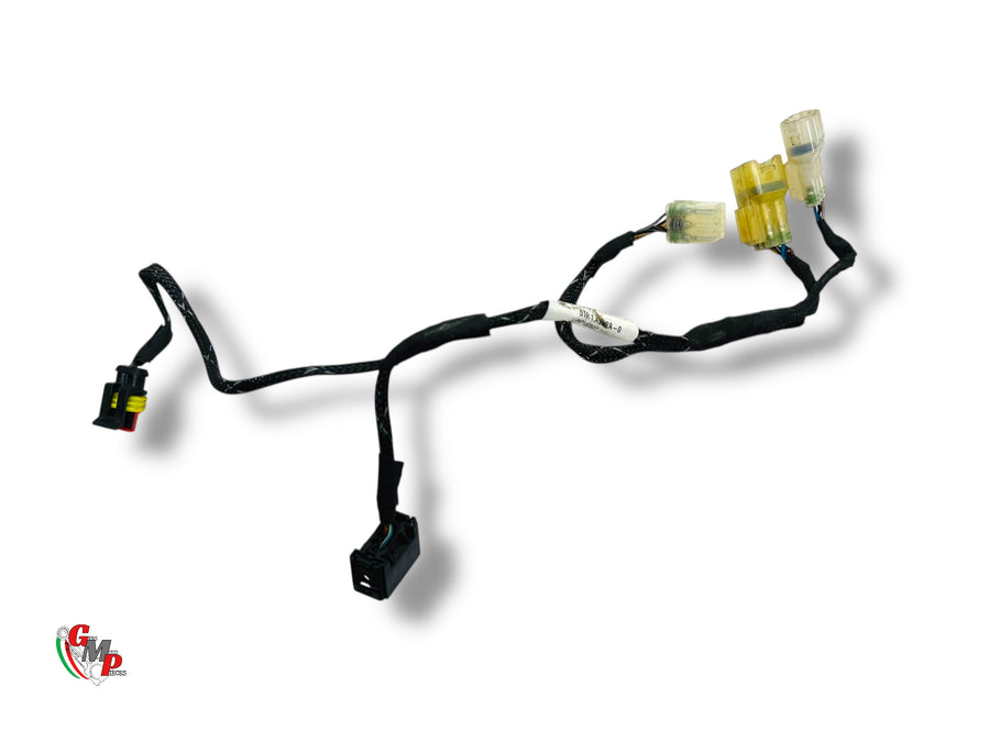 Side Wiring - Ducati