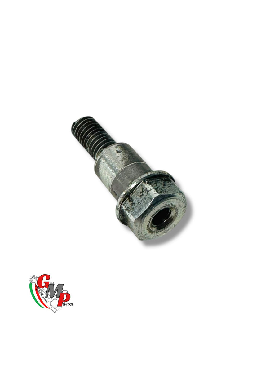 Side stand pivot screw - Ducati