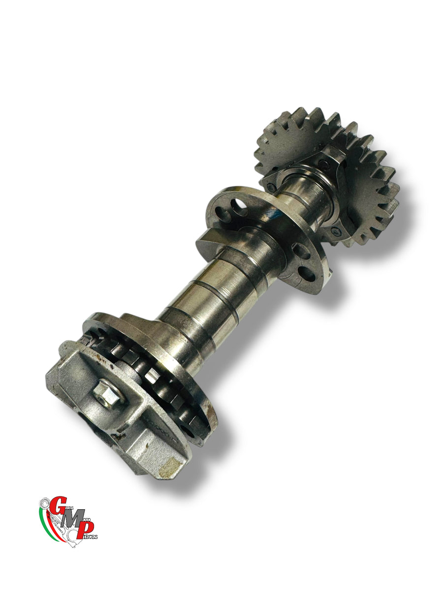 Vertical intake camshaft - Ducati