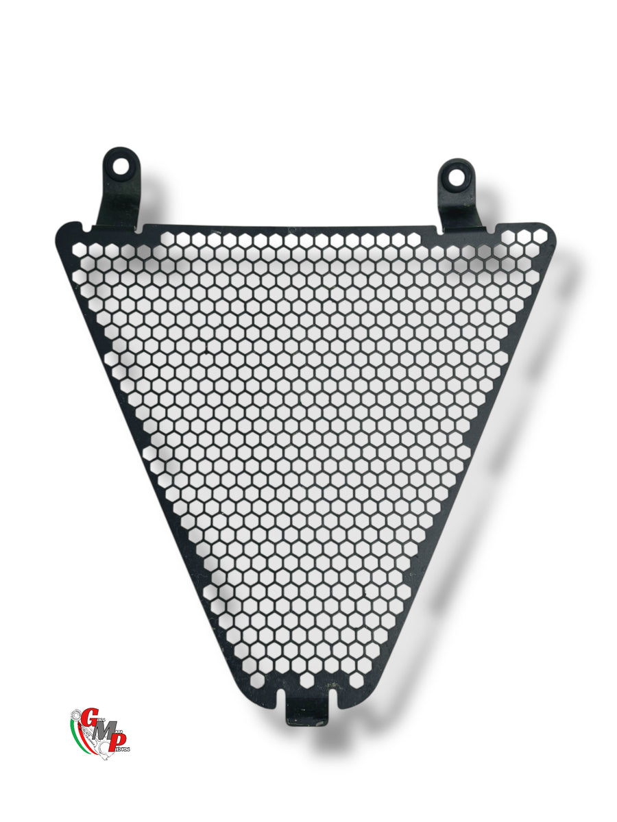 Lower Radiator Grille - Ducati Performance