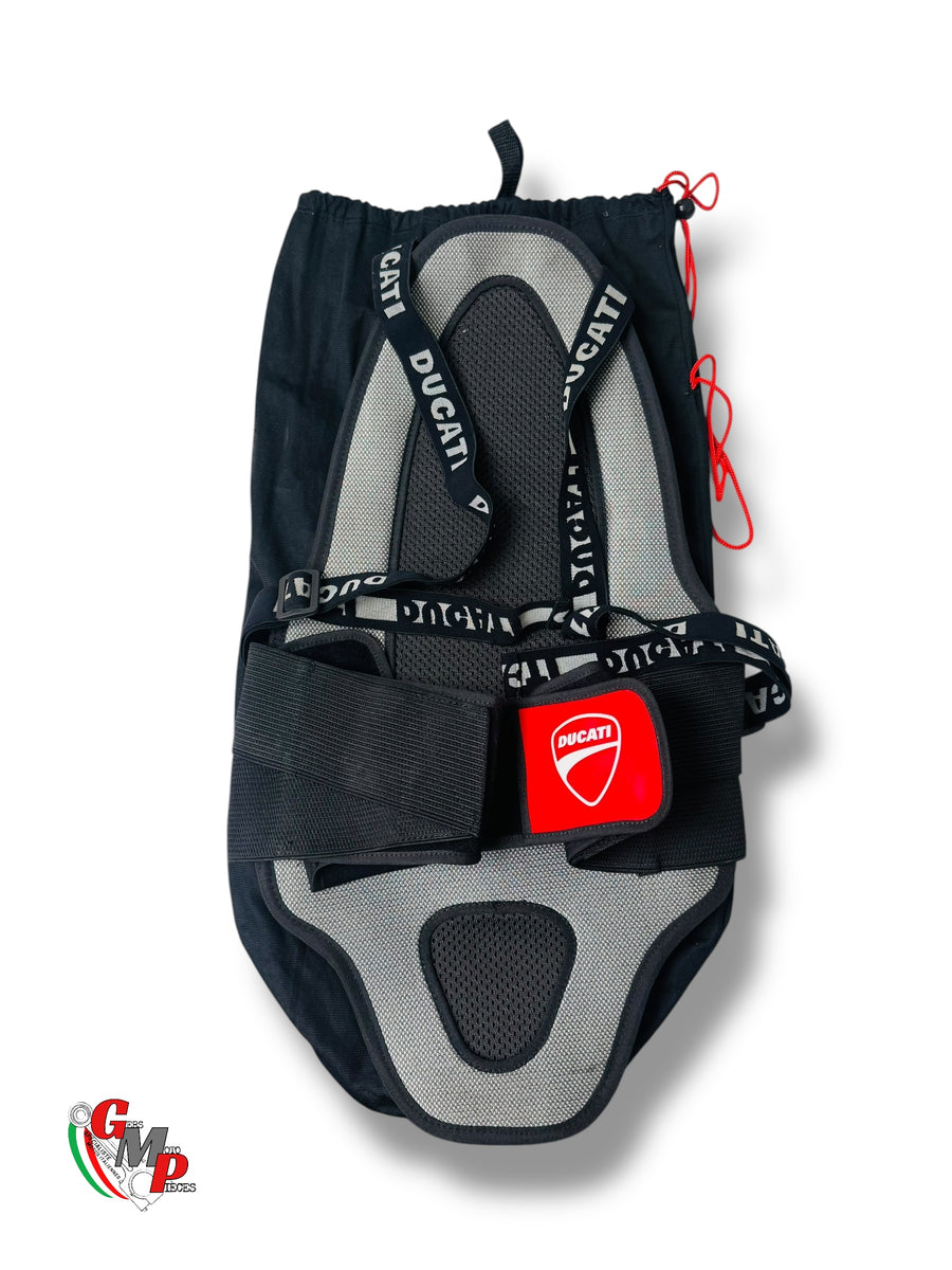 New Dainese Back Protector