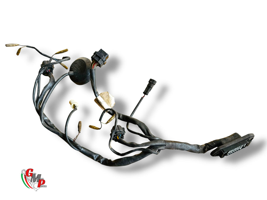 Headlight harness - Ducati