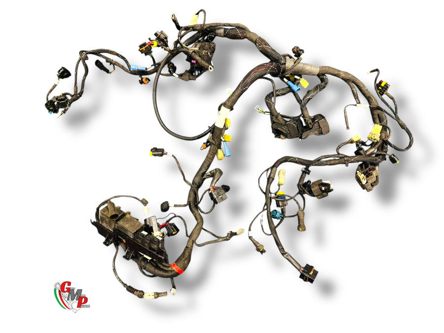 Complete wiring harness - Ducati