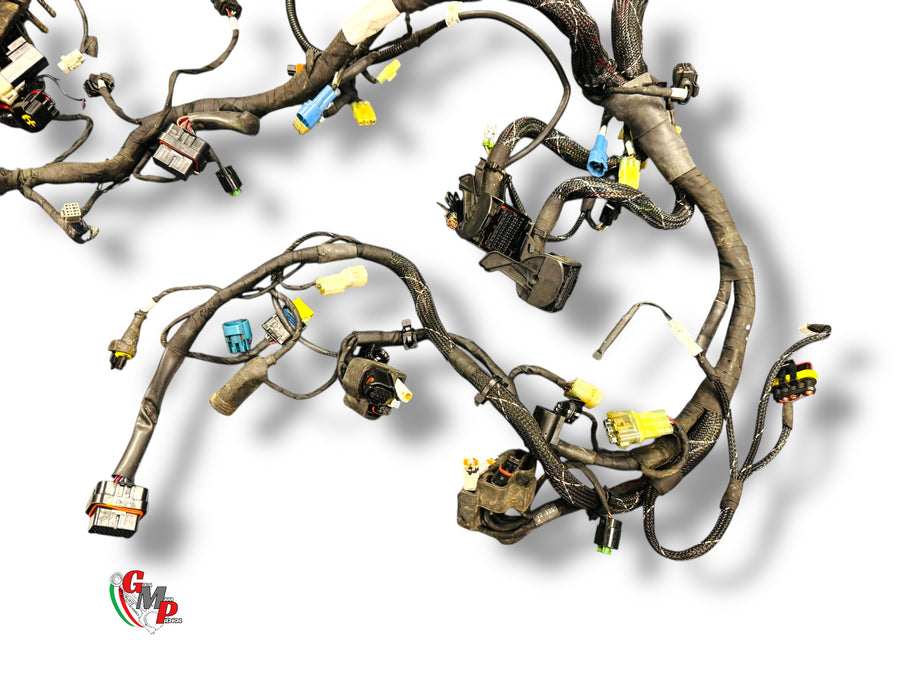 Complete wiring harness - Ducati
