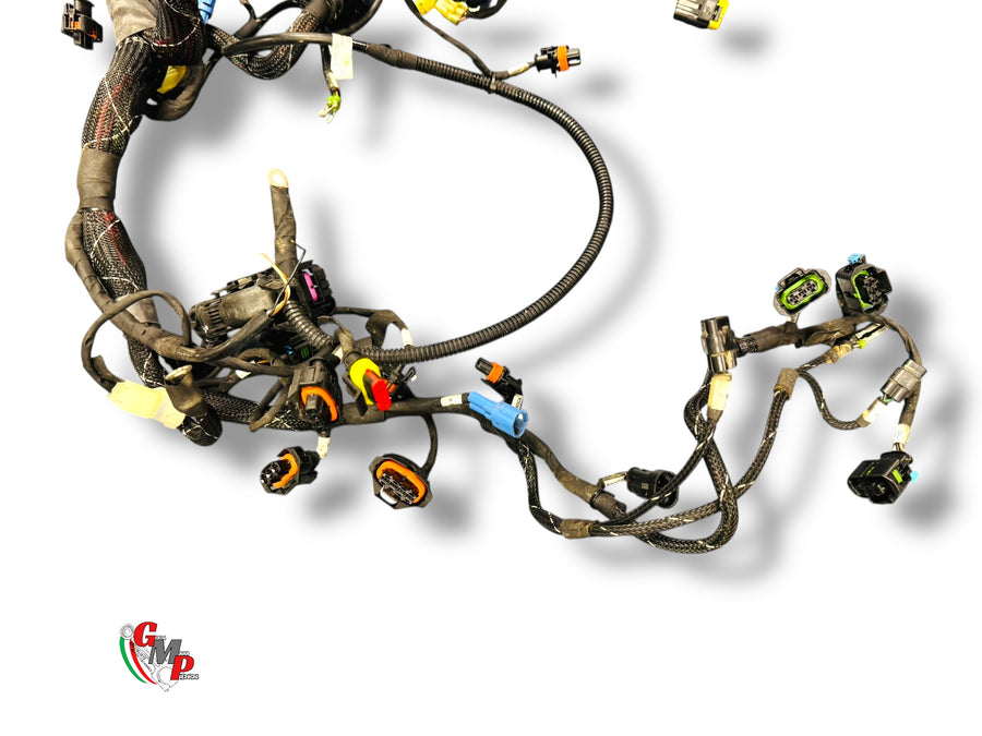 Complete wiring harness - Ducati