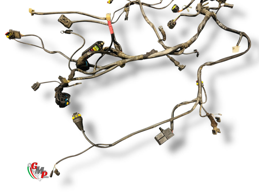 Complete wiring harness - Ducati