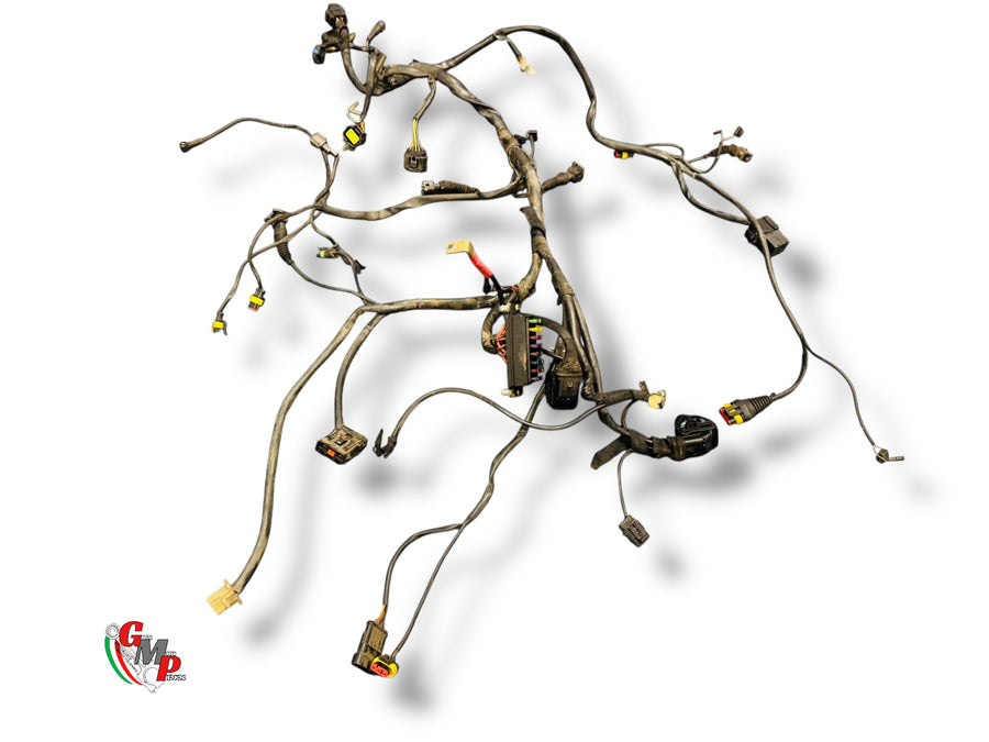 Complete wiring harness - Ducati
