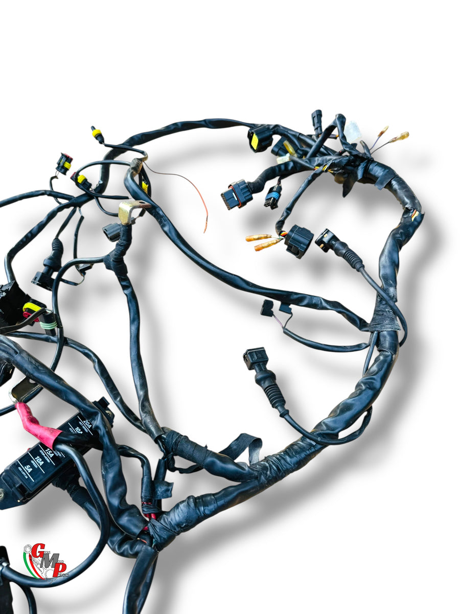 NEW Electrical Harness - Ducati