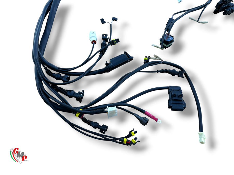 NEW Wire Harness - Ducati