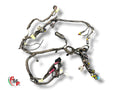 Complete Main Harness - Ducati