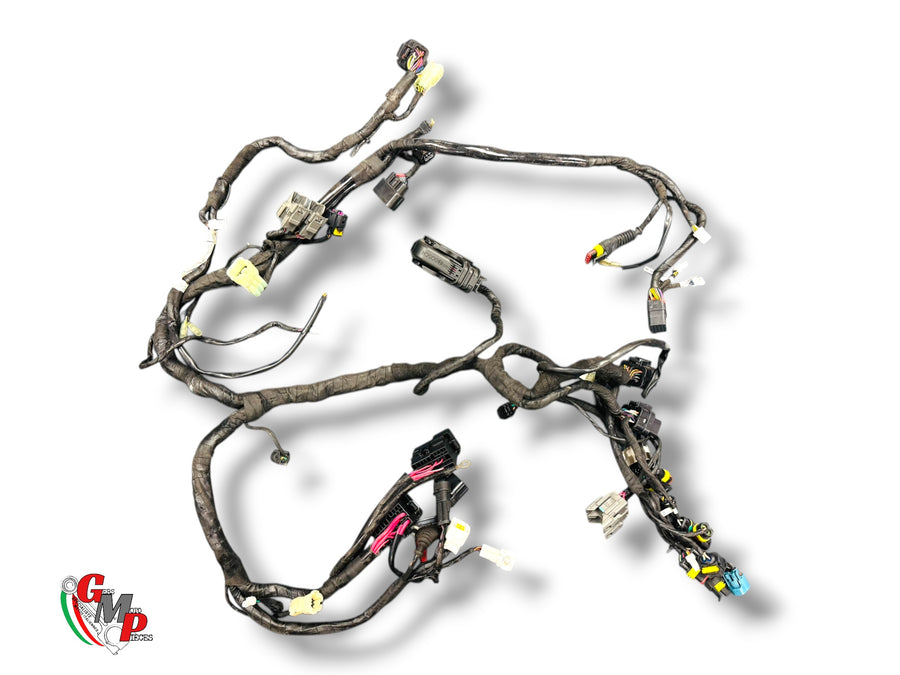 Complete Main Harness - Ducati