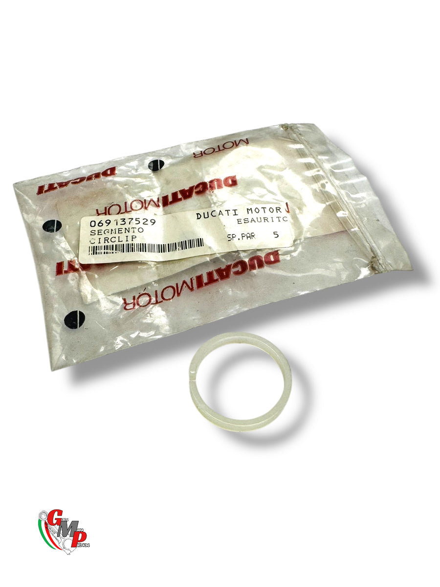 NEW Plastic Segment - Ducati