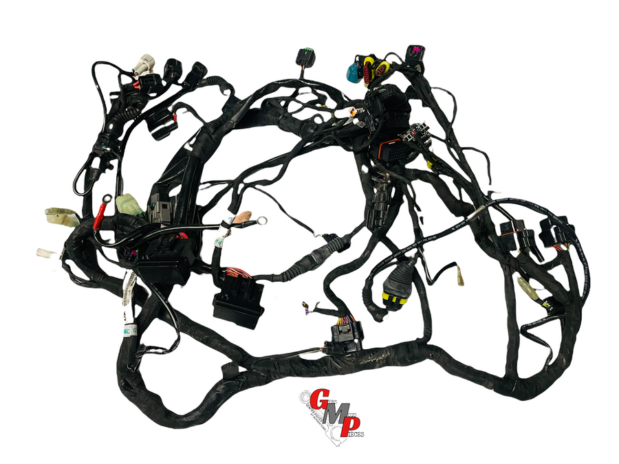 Electrical harness - Ducati