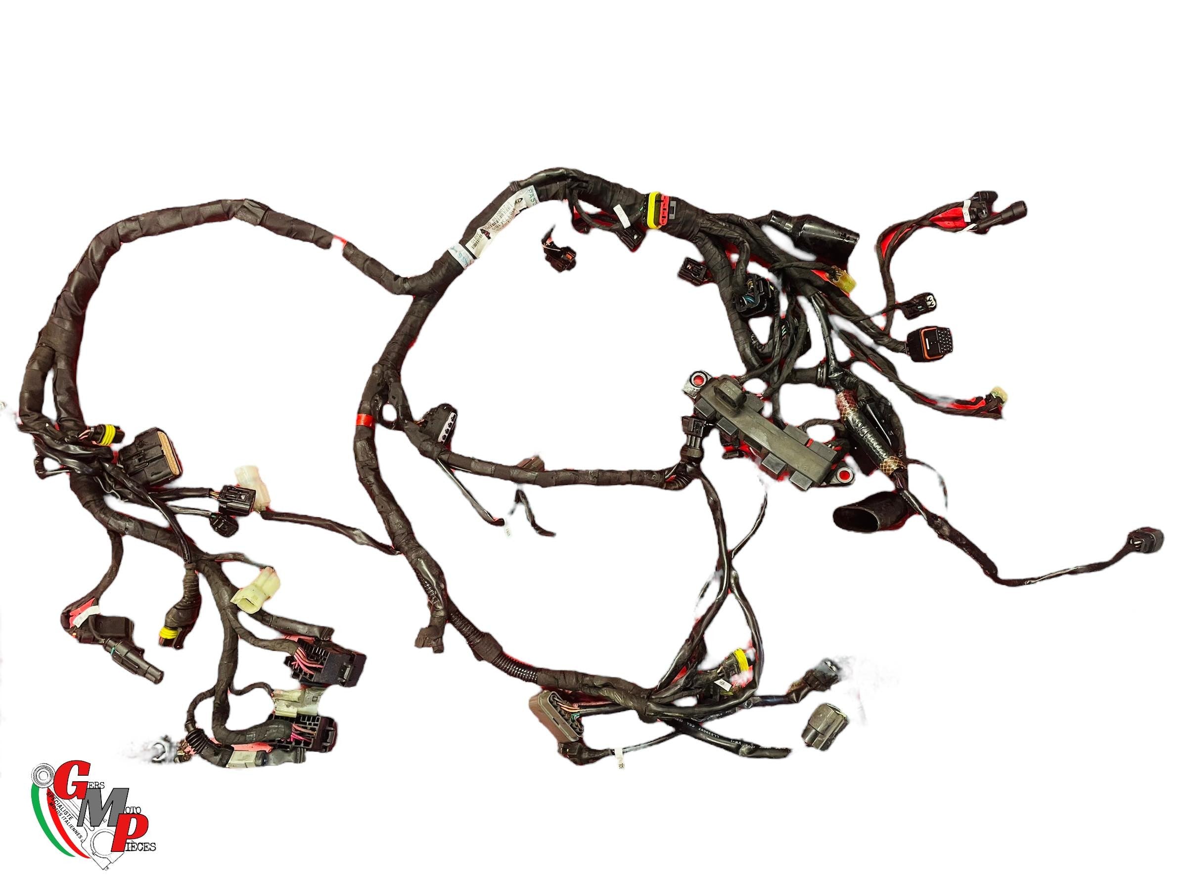 Electrical Harness - Ducati