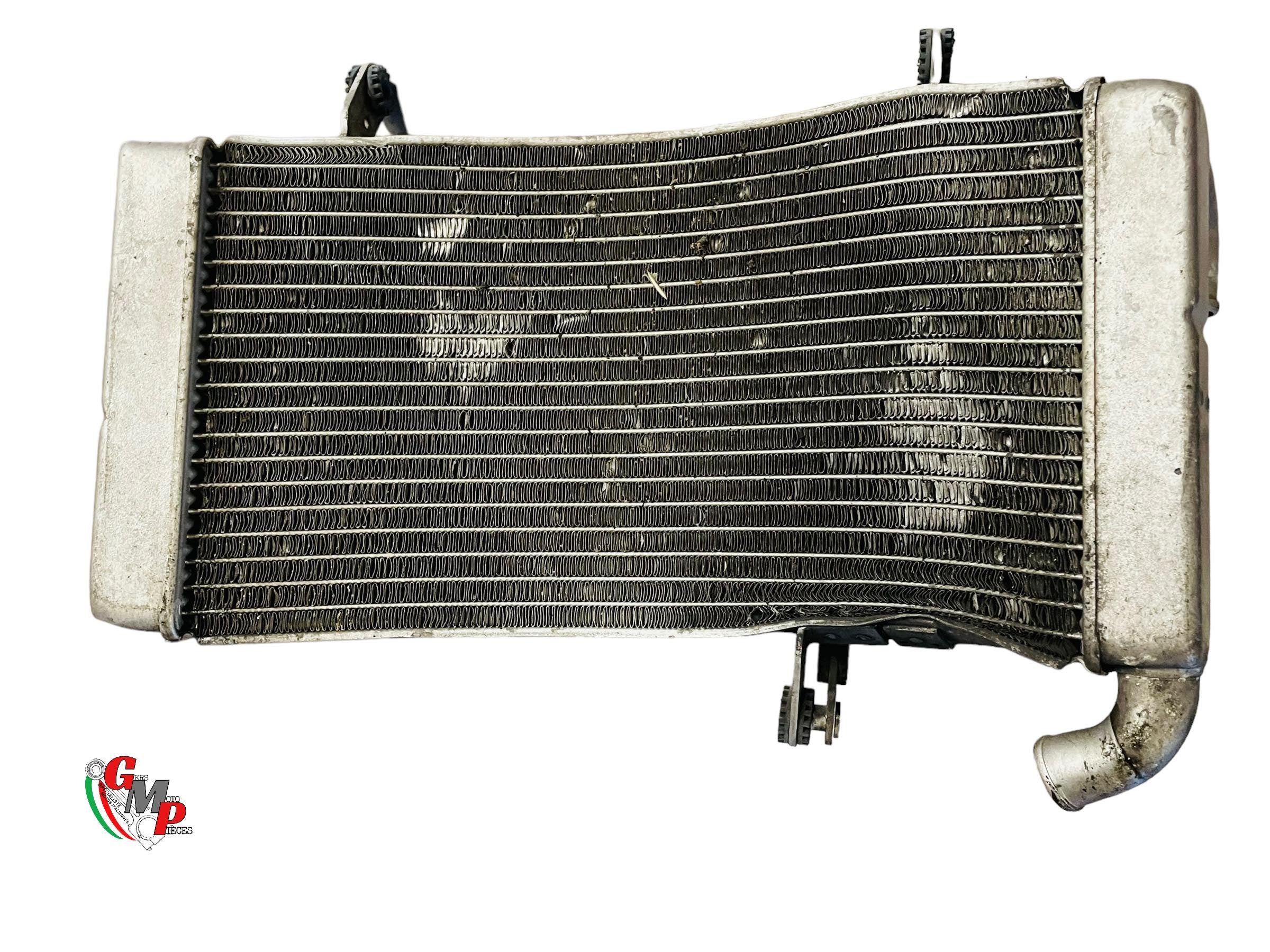 Complete Water Radiator with Fan - Ducati