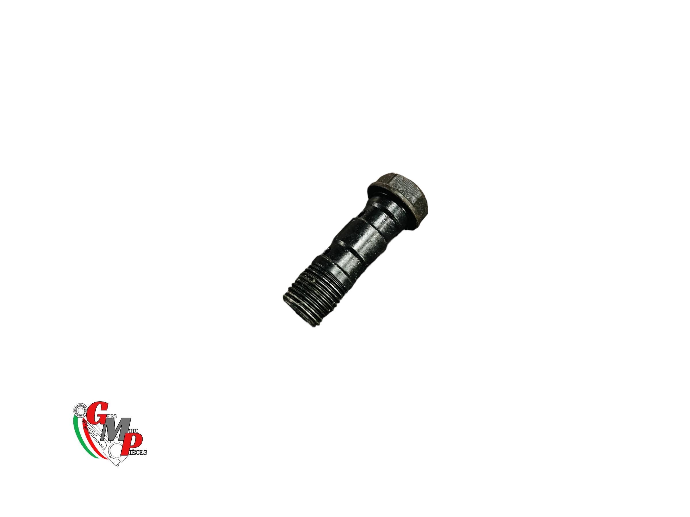 Banjo bolt for 2 hoses - Ducati