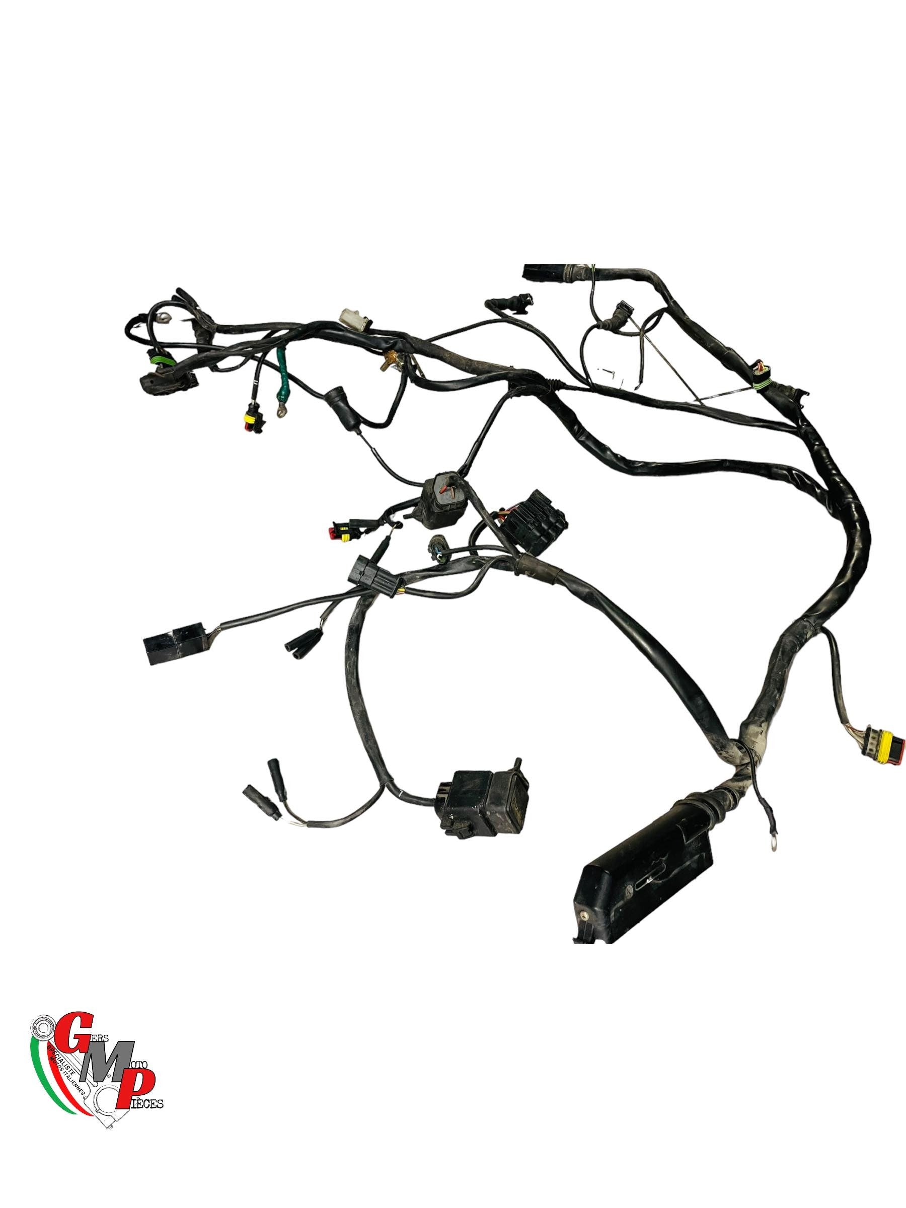 Main Wiring Harness - Ducati