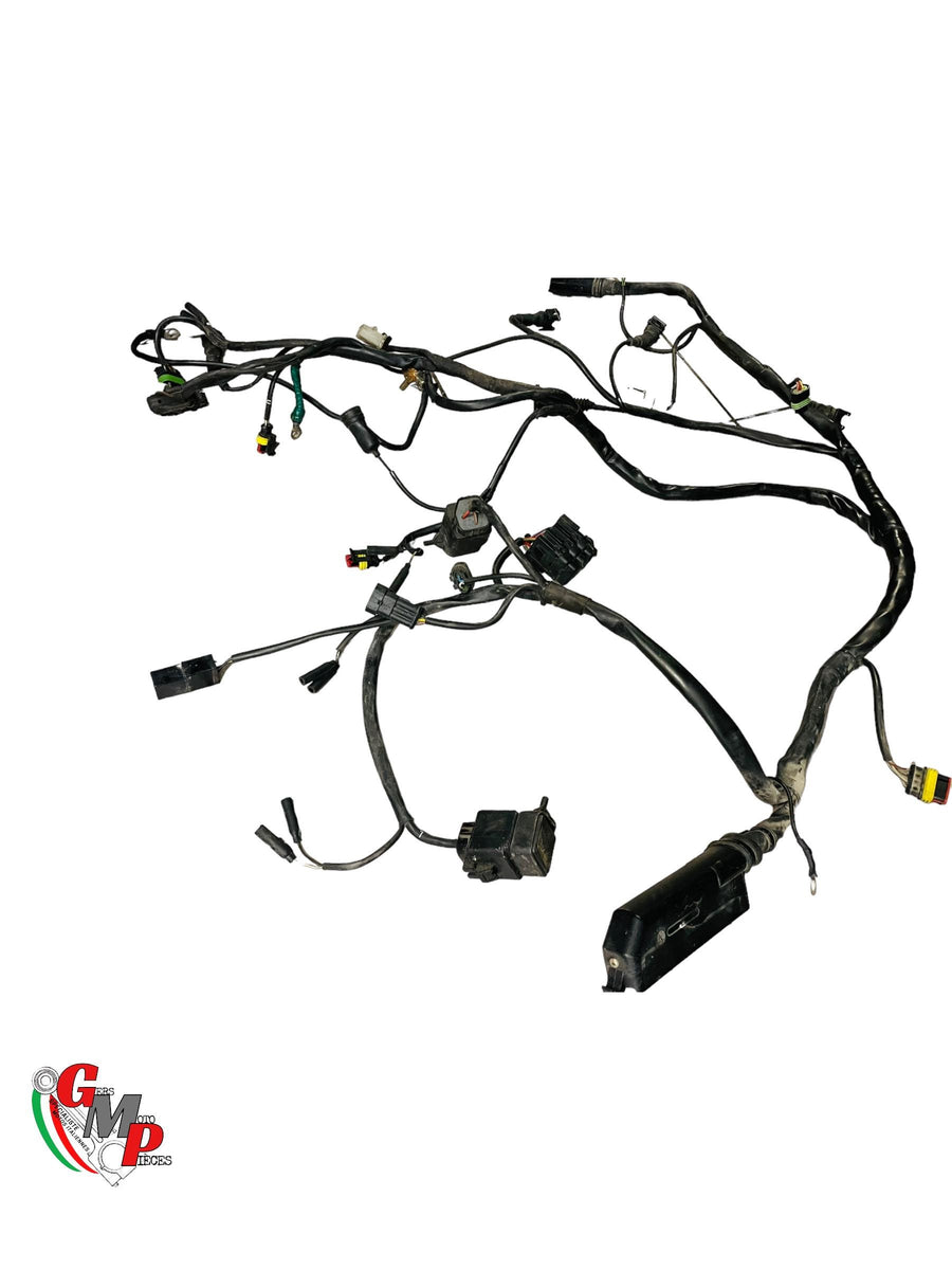 Main Wiring Harness - Ducati