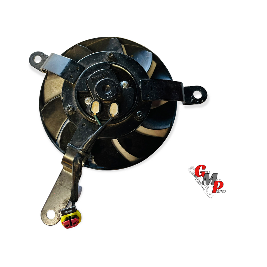 Left fan - Ducati