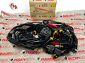New Electrical Harness - Ducati