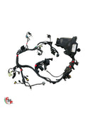 Main Wiring Harness - Ducati