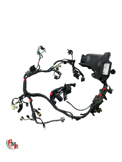 Main Wiring Harness - Ducati