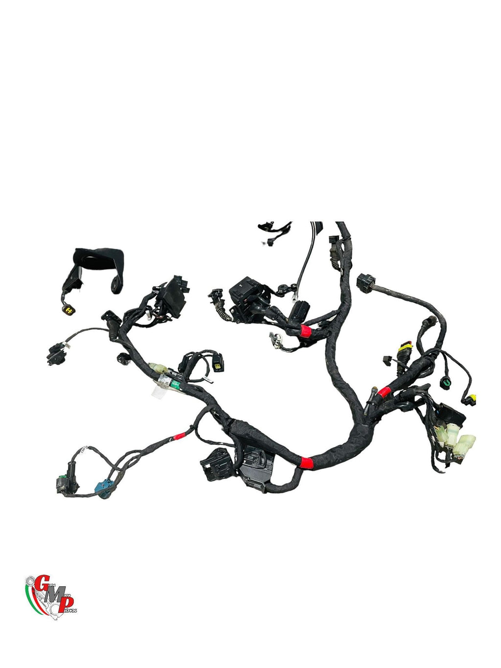 Main Wiring Harness - Ducati