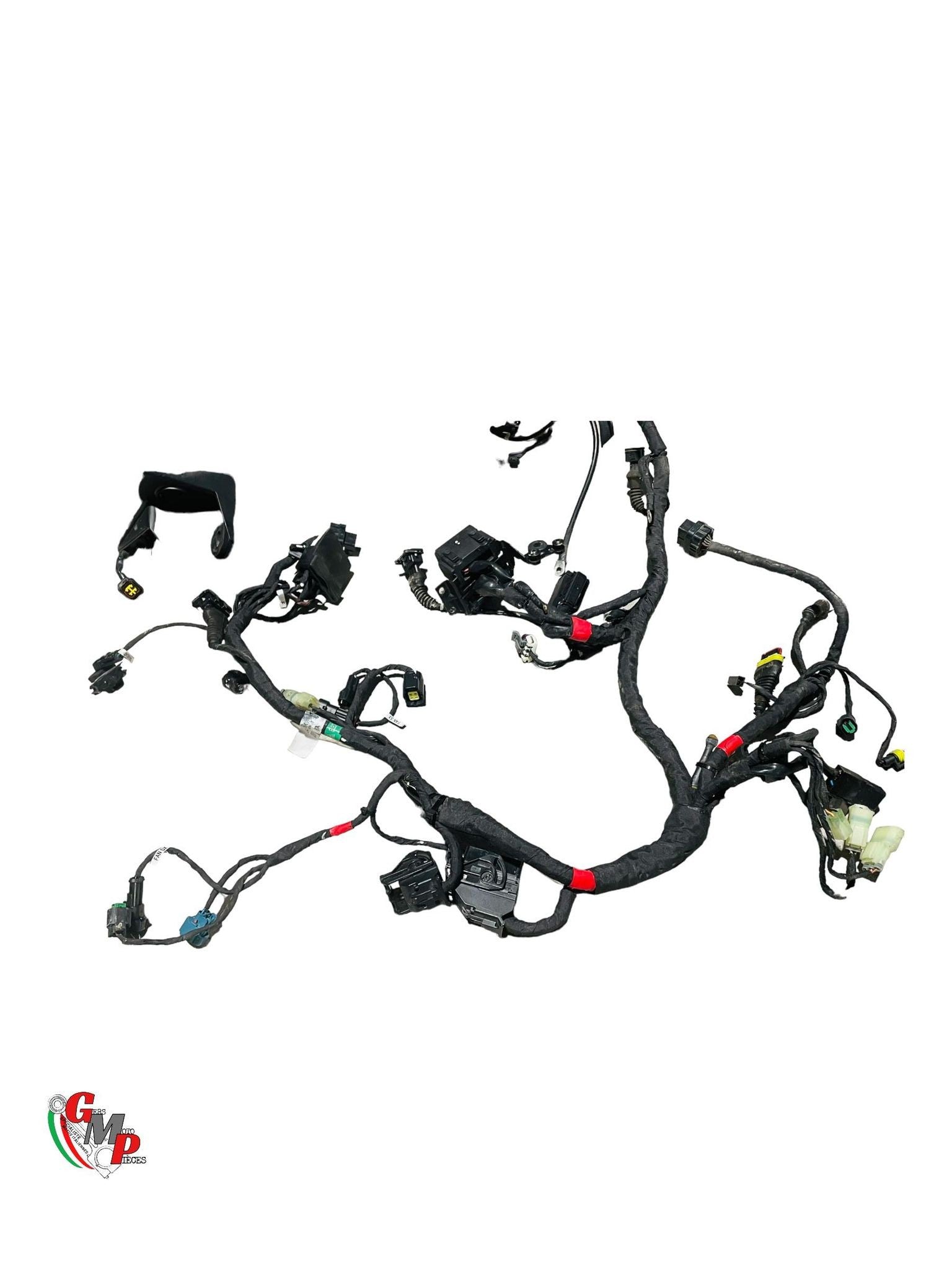Main Wiring Harness - Ducati